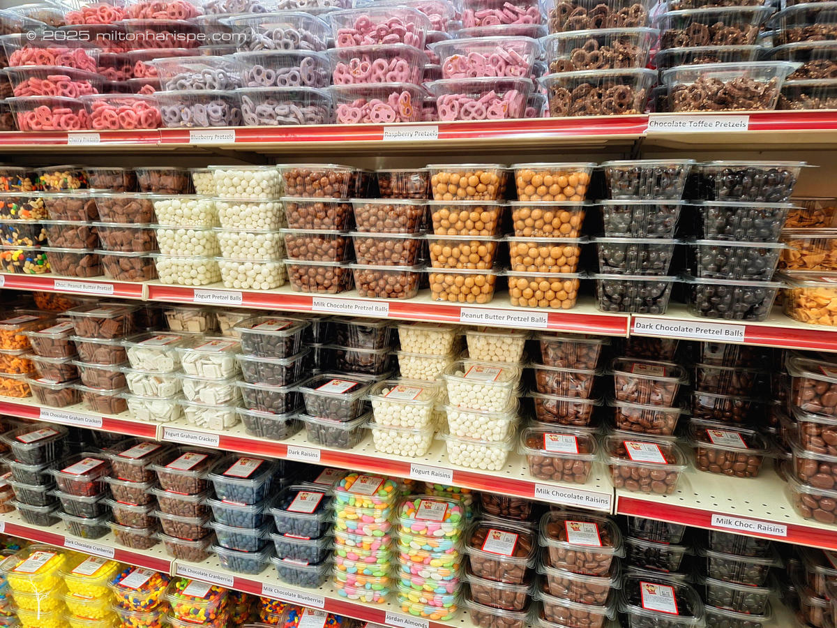 029 20230616 175803 Edit